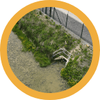 Company Map Popup Img 1 – Sustainabiliy