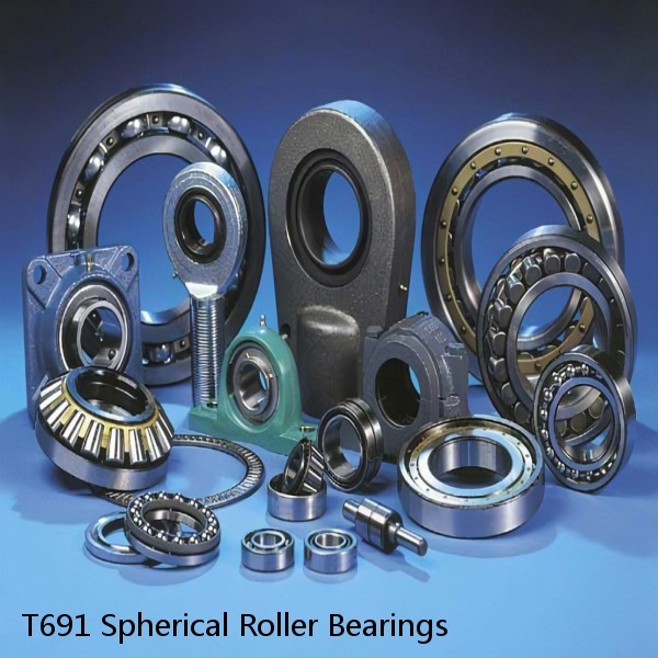 T691 Spherical Roller Bearings