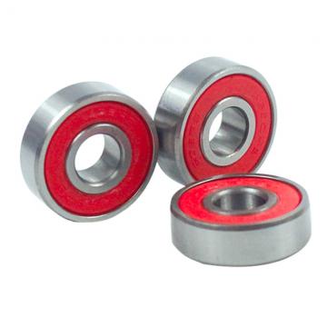Cylindrical Roller Bearing (NU 314 ECP)
