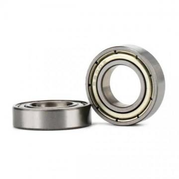 China Wholesale Supplier  Full Complement Machine Cylindrical Roller Bearings Nu ...