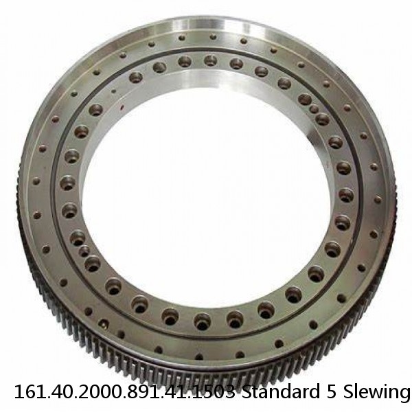 161.40.2000.891.41.1503 Standard 5 Slewing Ring Bearings #1 small image