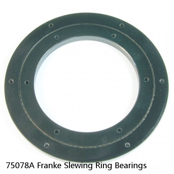 75078A Franke Slewing Ring Bearings