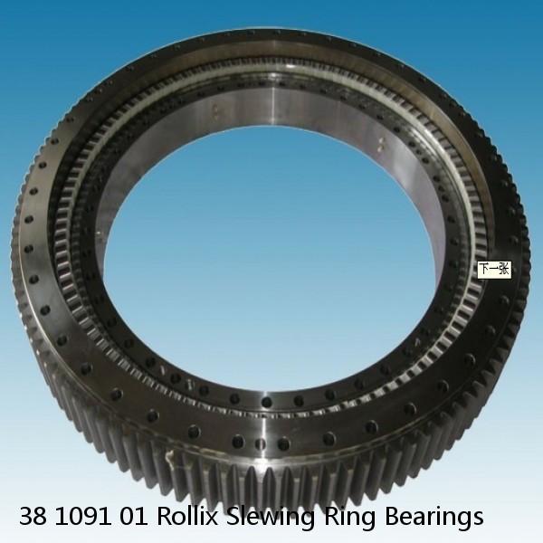 38 1091 01 Rollix Slewing Ring Bearings #1 small image