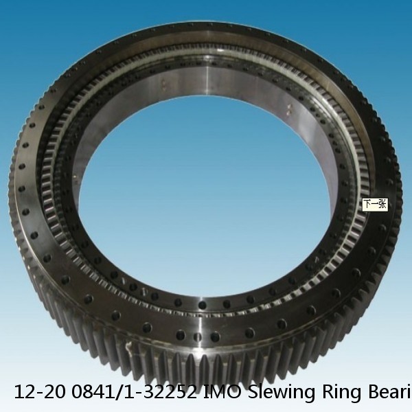 12-20 0841/1-32252 IMO Slewing Ring Bearings #1 small image