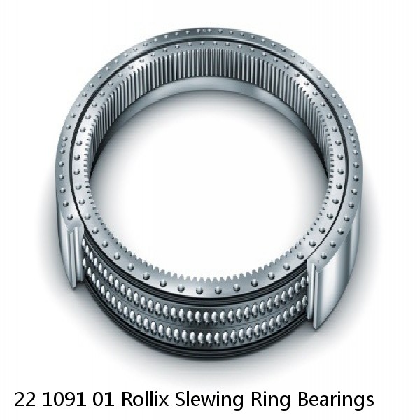 22 1091 01 Rollix Slewing Ring Bearings #1 image