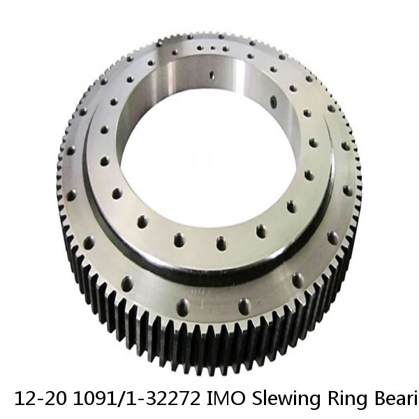 12-20 1091/1-32272 IMO Slewing Ring Bearings #1 image