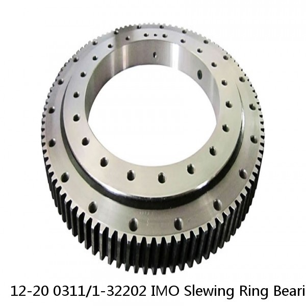 12-20 0311/1-32202 IMO Slewing Ring Bearings #1 image