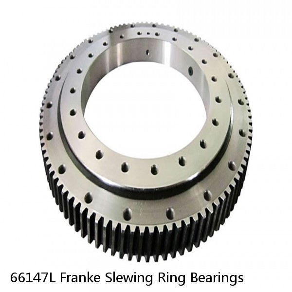 66147L Franke Slewing Ring Bearings #1 image