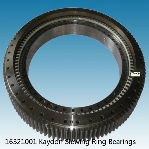 16321001 Kaydon Slewing Ring Bearings #1 image