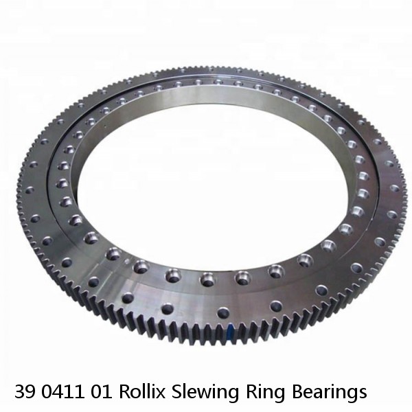 39 0411 01 Rollix Slewing Ring Bearings #1 image