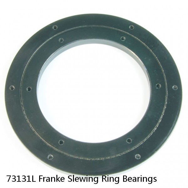 73131L Franke Slewing Ring Bearings #1 image