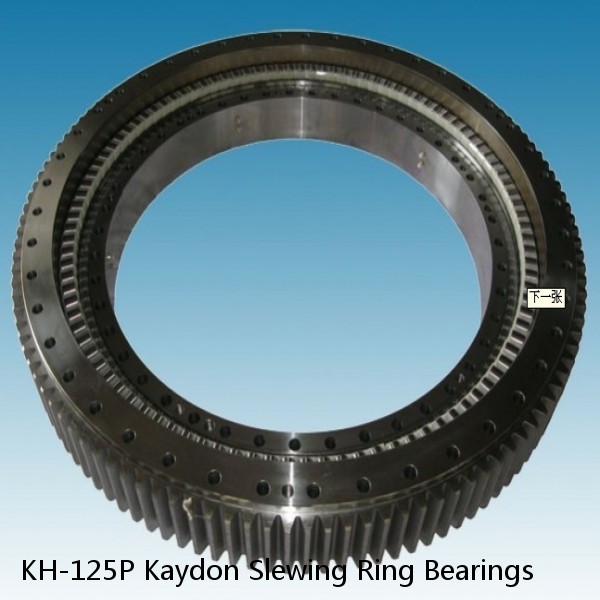 KH-125P Kaydon Slewing Ring Bearings #1 image