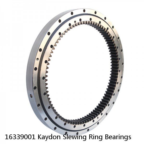 16339001 Kaydon Slewing Ring Bearings #1 image