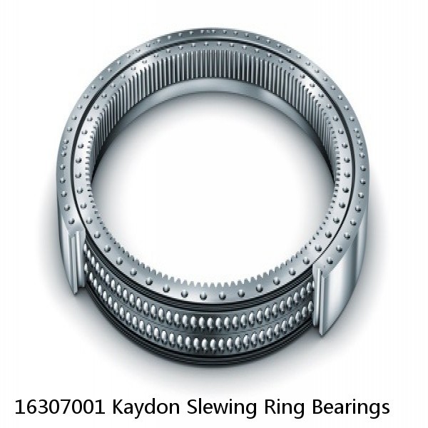 16307001 Kaydon Slewing Ring Bearings #1 image